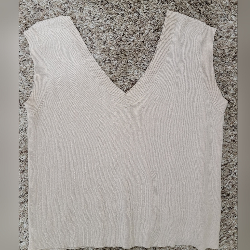 Kittenish Beige Knit V-Neck Top
